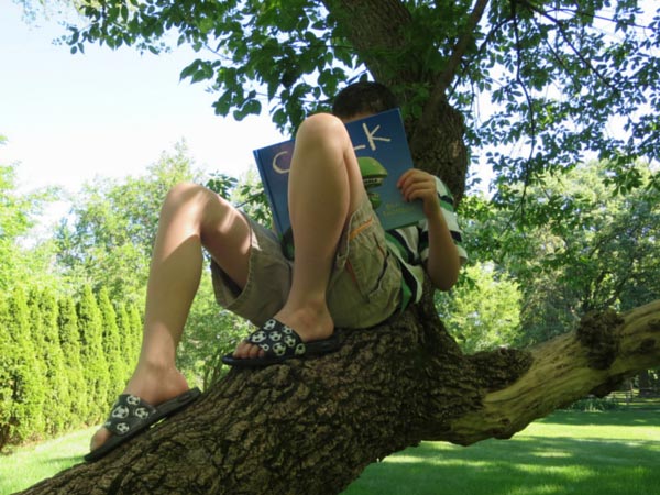 Child reading a wordless picture book in a tree