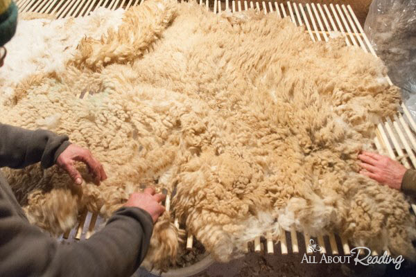The Story behind the Story - A Haircut for Britches