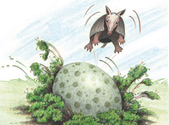The Story Behind the Story – “Chasing Henry” - All About Reading