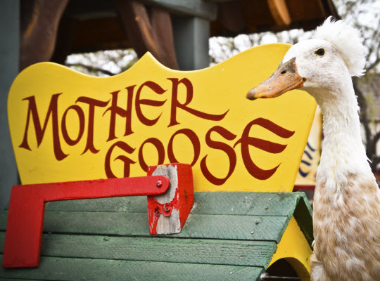 A goose standing next to a Mother Goose house