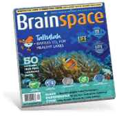Brainspace magazine cover