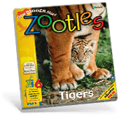 Zootles Magazine Cover