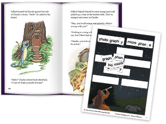AAR Level 4 Story and Activity
