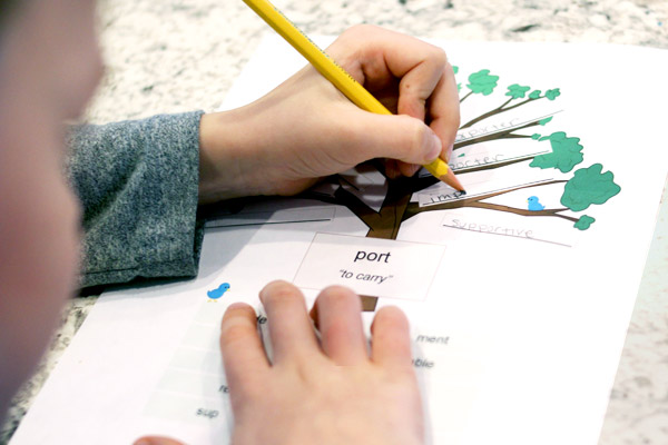 Teaching Latin Roots with Word Trees - All About Learning Press