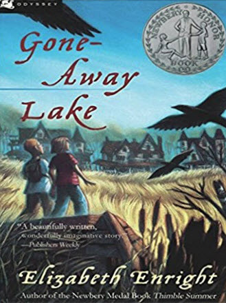 Book cover of Gone-Away Lake by Elizabeth Enright