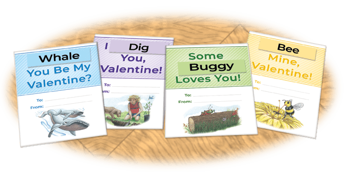group of completed puns on valentine cards