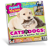Animal Tales Magazine Cover