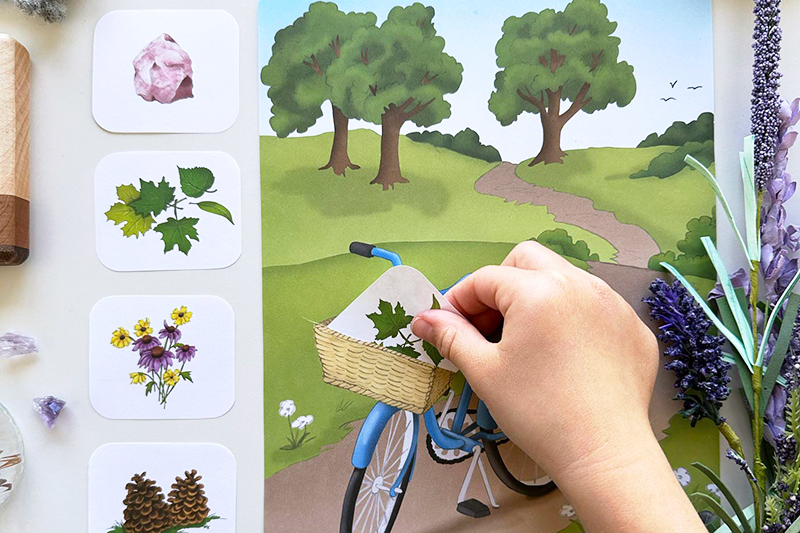 All About Spelling Color Edition activity