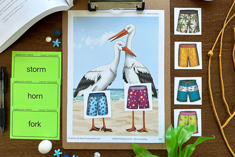 All About Spelling Color Edition activity