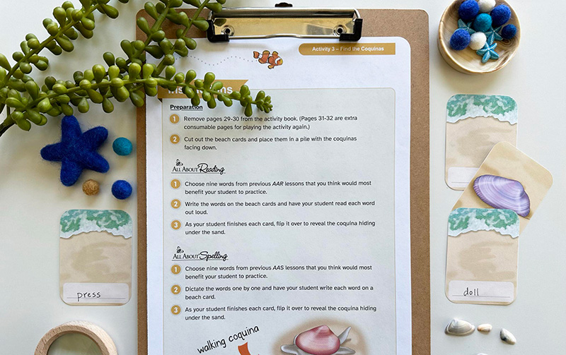 Something Fishy reading and spelling review book instructions