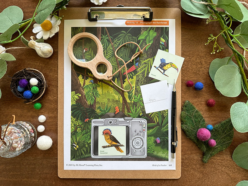 Birds of a Feather reading and spelling review book activity
